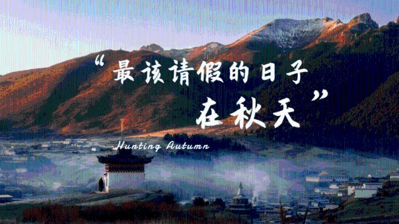 盐津“订单蔬菜”为乡村振兴添动力